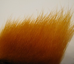polar bear sunburst standart